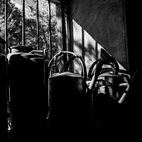 Bodegón Pare Bien Salamanca